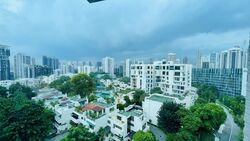 The Solitaire (D10), Condominium #558115601